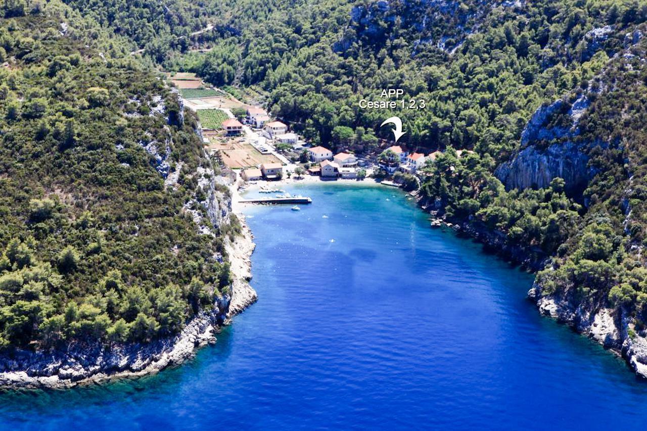 Apartment Cesare 3 Zastražišće Εξωτερικό φωτογραφία
